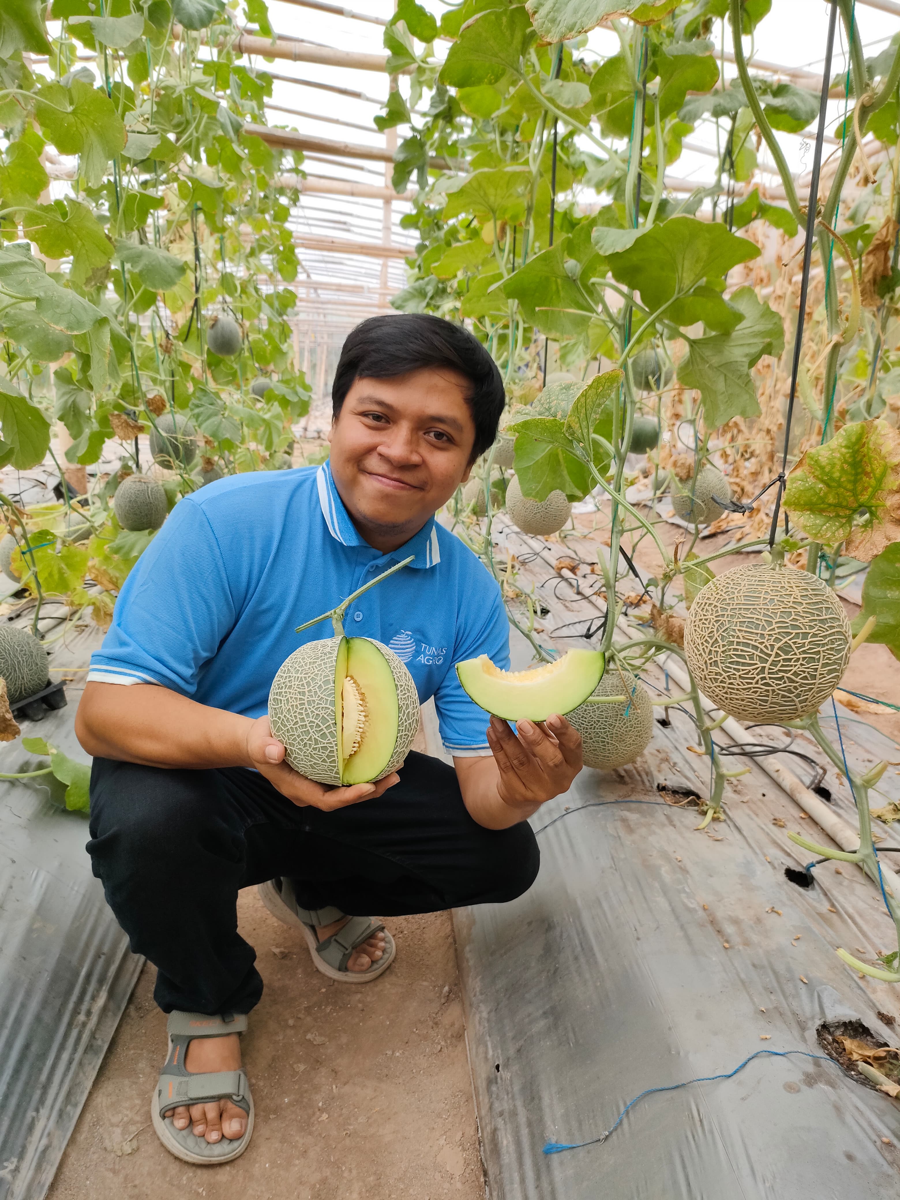 Mas Yudika dengan hasil panen melon