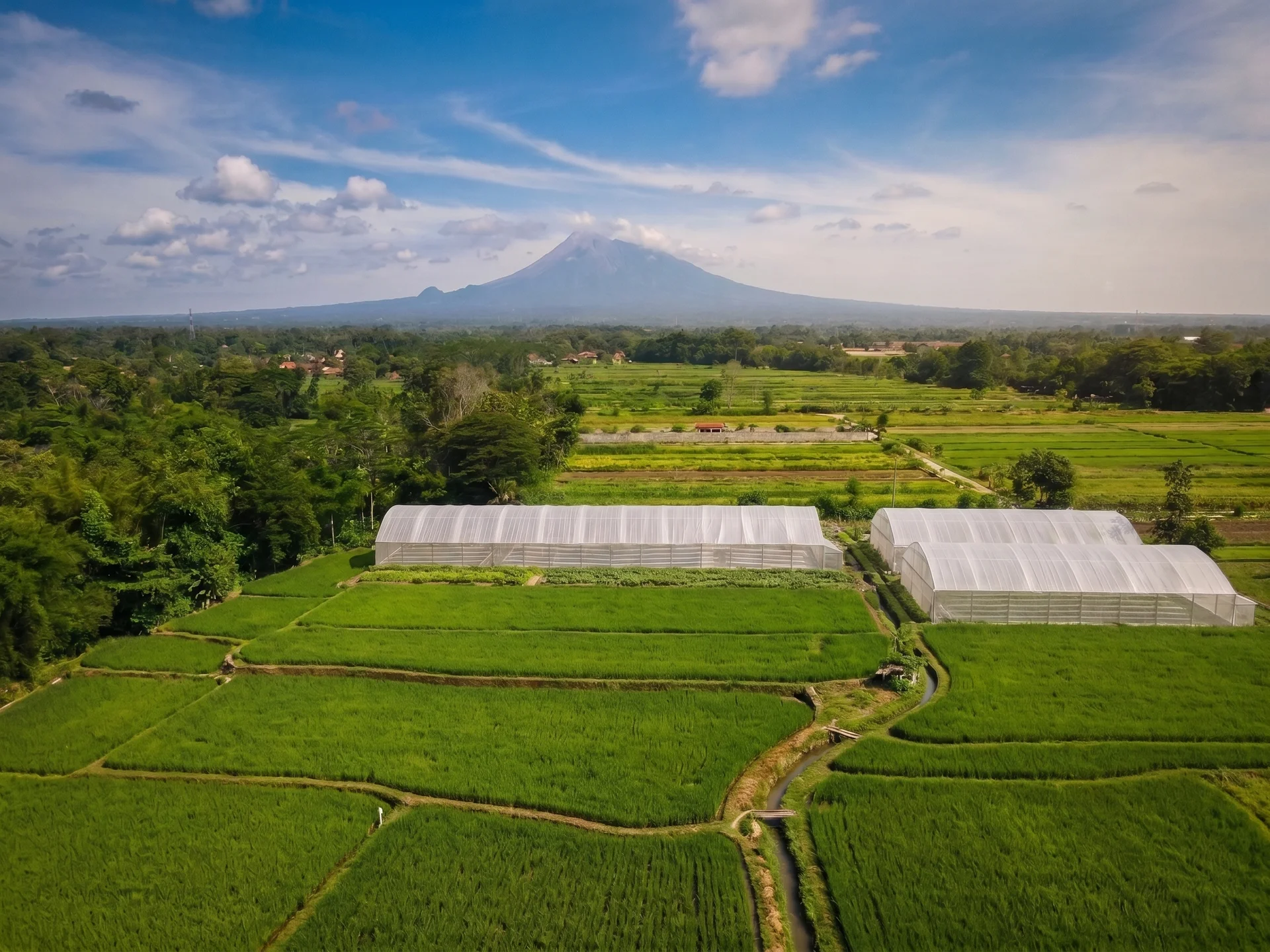 Greenhouse MOYOU Farm dilihat dari atas, dengan Gunung Merapi di kejauhan